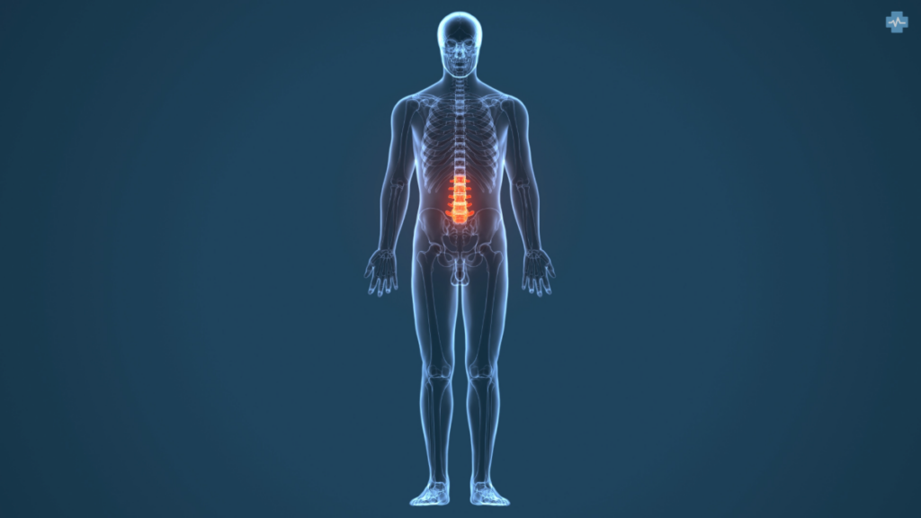 Stem Cell Transplantation