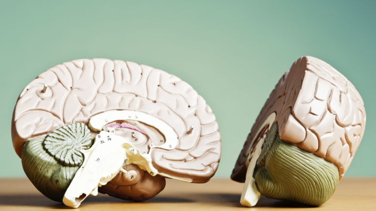Could Personality Soon Become a Diagnostic Biomarker? Untitled design 97